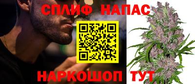 дмт Моздок