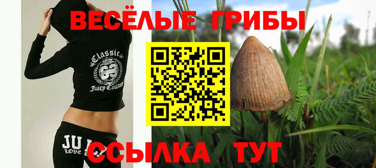 Чистополь  Псилоцибиновые грибы прущие грибы  Вход с VPN 